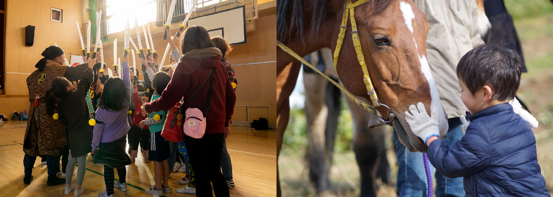 ホースセラピーなど活動の画像